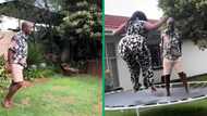 Adults hop on kids' trampoline in TikTok video, SA laughs as they nearly break toy