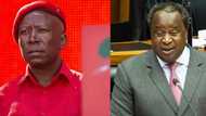 Julius Malema calls Tito Mboweni out for comment about Wits death