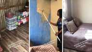 Young lady's interior design adventure revitalises single-room living space, TikTok video trends