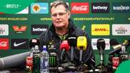Rassie Erasmus confirms when Handré Pollard and Franco Mostert will return for Springboks
