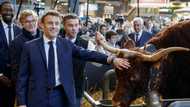 Macron warns EU-South America deal hinges on environment