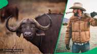 Buffalo kills millionaire hunting it on R150k+ safari trip in South Africa