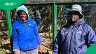 "Dankie mlungu": Man takes labourers to Joburg Zoo for first time in TikTok video