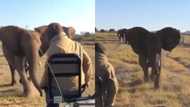 Helang: Mzansi reacts as man gets chased by a fully grown elephant