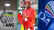 South Africans blame DA for EFF's MMC of Finance dismissal in Ekurhuleni