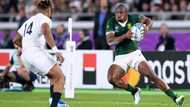 Springboks overpower Scotland 32-15: Mapimpi shines in record-extending victory.