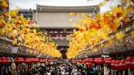 'More the merrier': Asia tourist hubs ready for China influx