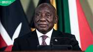 President Cyril Ramaphosa launches urgent court bid to halt impeachment inquiry proceedings