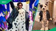 Bontle Modiselle hints at music career after winning 'The Masked Singer SA': "It gave me confidence"