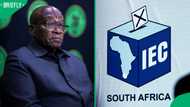Electoral Court dismisses uMkhonto weSizwe Party's challenge against IEC over 2024 election results