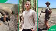 "From bosses to cheap labour": SA stunned by Afrikaner farmers doing hard manual labour in the USA