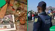 Traditional healers arrested for 2023 murder, SA furious as Mozambican found with deceased's organs