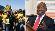 Zuma supporters want Ramaphosa's Phala Phala theft investigated, cases opened against president in DBN