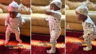 1-year-old who can barely stand performs 'ZoTata' amapiano dance, TikTok video goes viral