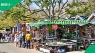 How to experience local luxury in South Africa without breaking the bank