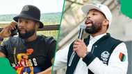Sizwe Dhlomo spends big to remove dead bug from acoustic studio glass