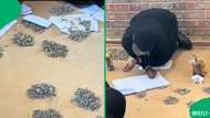 “No way”: Viral TikTok video shows pupils using stones to do maths, sparking outrage in SA