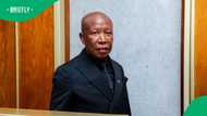 Julius Malema defence team argues for leniency, says tough sentence will affect his children