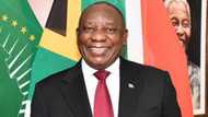 "You found your father": SA reacts to female Cyril Ramaphosa lookalike