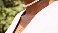 My wife disappeared 20 years ago – Then I saw a young woman wearing the necklace I gave her