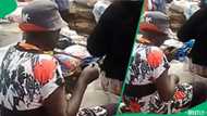 Zimbabwe vendor goes viral after feeding mystery animal hidden in pouch