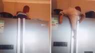 South African toddler caught playing on top of the fridge by mother: "But how did you get up there?"