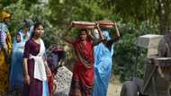 India's women water warriors transform parched lands