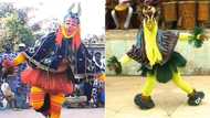 African traditional dance goes TikTok viral, lightning-fast legwork in zaouli dance videos impresses millions