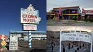 "My worst nightmare": Eerie clown motel next door to cemetery gives peeps the creeps