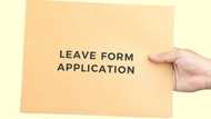Types of leave in South Africa you are entitled to 2022
