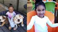 Local girl, 3, needs millions of rands to get life saving procedure in the US, family desperate for help