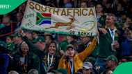 Local Boks fans sang coach Rassie Erasmus' praises after beating Ireland both physically and mentally