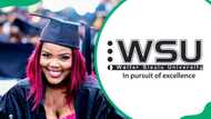 Walter Sisulu University courses and requirements: everything worth knowing about the application