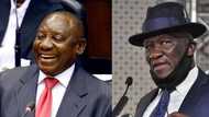 National Freedom Party calls for Ramaphosa and Cele's resignation