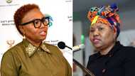 Over 10 years of looting, Minister Lindiwe Zulu confirms R500m was stolen from SASSA by officials