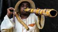 Sudan traditional wind instrument trumpets harvest time
