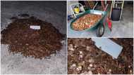 Man asks boss for last salary, finds a pile of dirty coins in driveway
