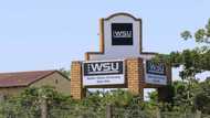 Walter Sisulu University courses in 2022: requirements, application