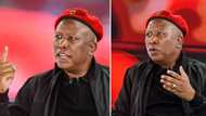 EFF’s Julius Malema says ANC lacks credibility after failure to take over the city of Joburg and Ekurhuleni