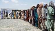 Hundreds of war-displaced Afghans return east