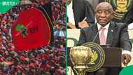 EFF demands National Assembly oppose Ramaphosa's application to challenge Phala Phala report