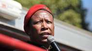 Supreme Court of Appeal dismisses Malema’s defamation lawsuit against former MP
