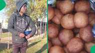 Qualified man resorts to selling fatcakes after being unemployed for 3 years, SA encourages farming