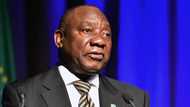 President Cyril Ramaphosa responds to Arthur Fraser's allegations, confirms theft at Limpopo farm