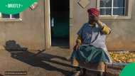 Corruption allegations cloud Limpopo housing project delayed for over a decade