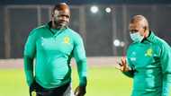 "Overrated Coach": Mamelodi Sundowns coach Steve Komphela claps back at troll