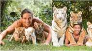 Tiger man causes stir on social media with before and after snaps