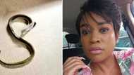 Woman complains after the snake she was raising to gain wealth was killed, Mzansi shares funny reactions