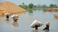 World leaders gather for climate talks under cloud of crises