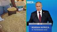 Russia-Africa summit: Putin pledges free grain to 6 African countries after quitting from Ukraine grain deal